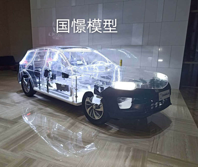 桓仁透明车模型